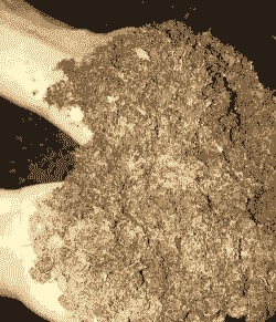 牛粪拿来养什么好