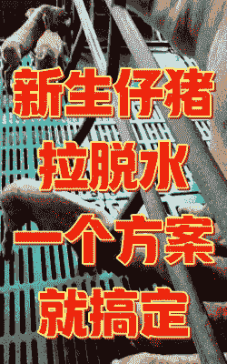 仔猪脱水是什么表现