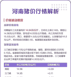 河南大猪什么行情