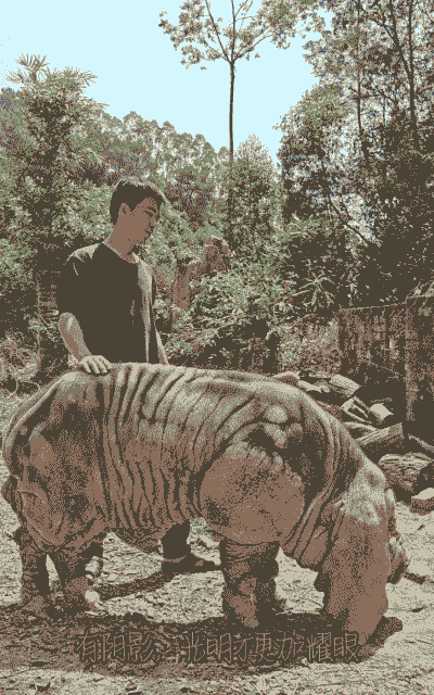 太湖猪用什么公猪