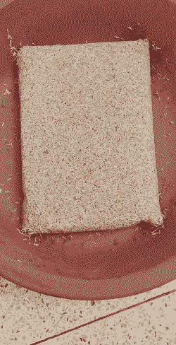 苍蝇蛆养什么最好