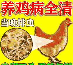 鸡蛔虫吃什么药