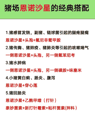 猪流感配什么药