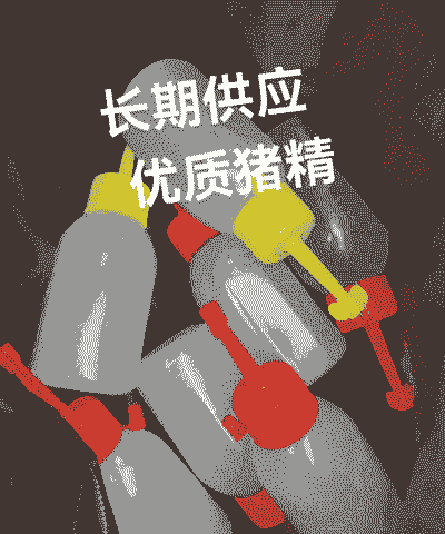 养猪料精是什么