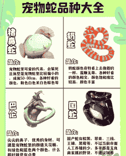 什么水蛇适合新手养