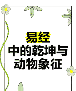 乾坤是代表什么动物