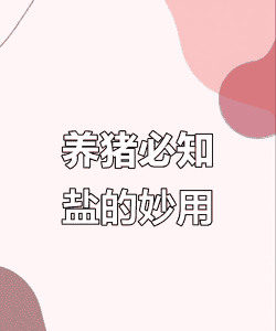 盐喂猪有什么好处