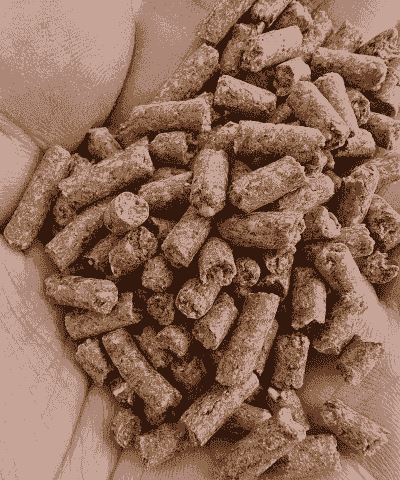 新希望养殖养什么