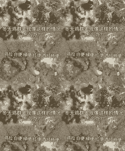 什么饲料不利雏鸡消化