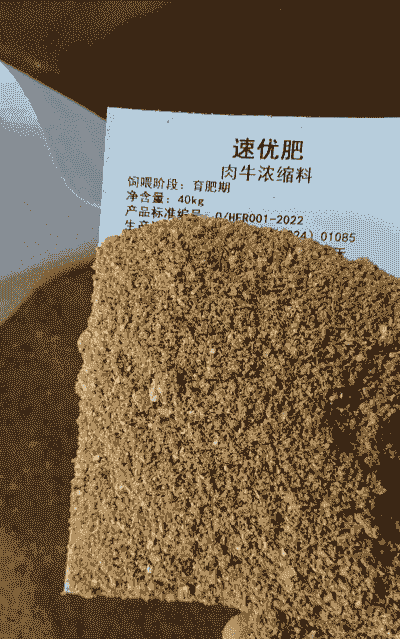 肉牛的精料是什么