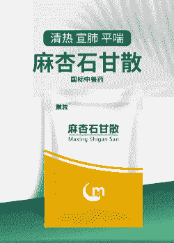 小猪高烧用什么中药