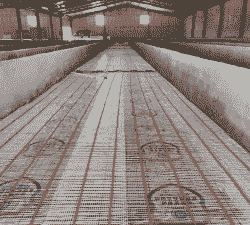 猪舍地面铺什么保温