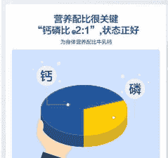 什么是钙磷比例