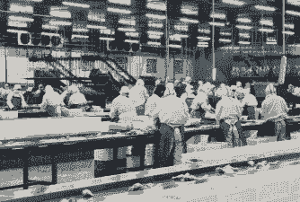 饲料行业是什么