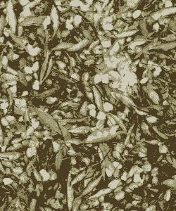 云南养什么利润高