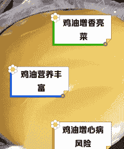 蛋鸡加什么油合理