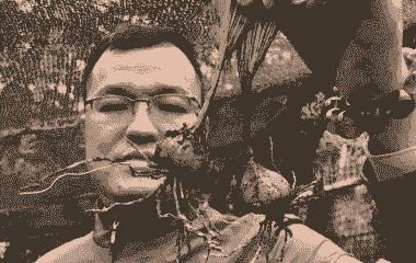 农村养什么不愁销路