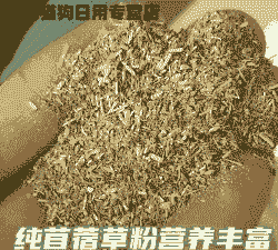 苜蓿粉是什么饲料