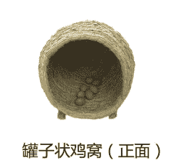 母鸡下蛋需要垫什么