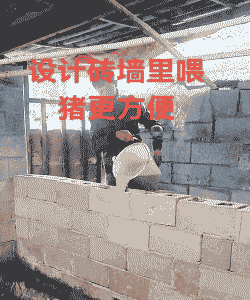 猪舍用什么砖最好