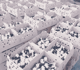 养什么鸡赚钱多