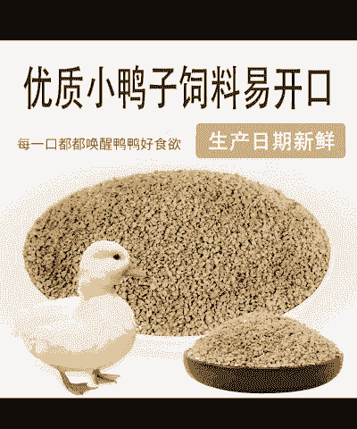 养鹅喂什么食料