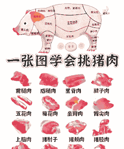 养猪在什么方位好