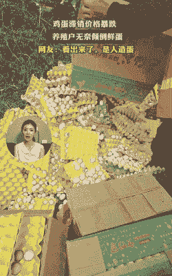 鸡蛋为什么会滞销