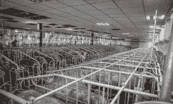 畜牧饲料在什么位置