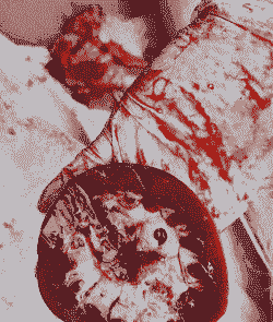 猪吃什么会中毒