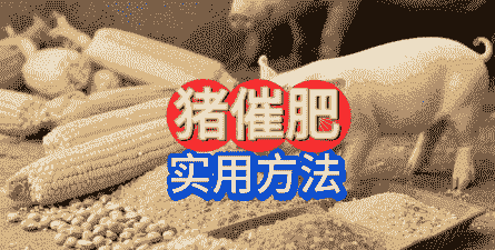 猪用什么能催肥