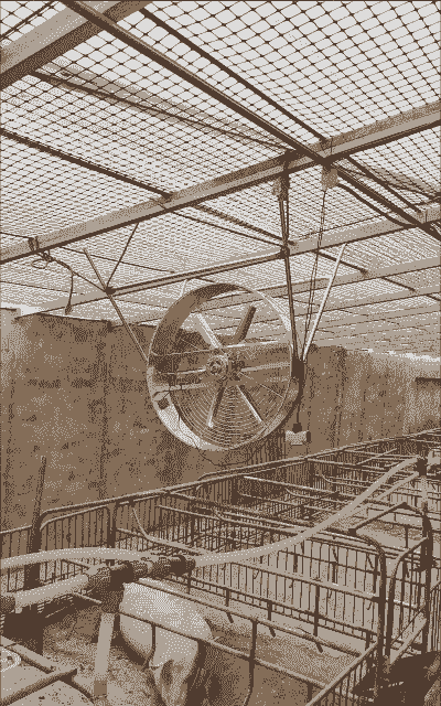 猪场用什么风扇好