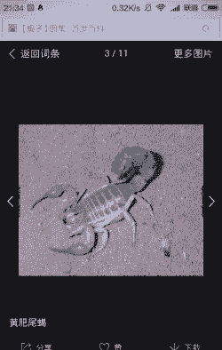 蝎子的天敌有什么