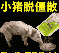 猪不长喂什么好