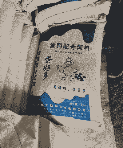 人工养鸭喂什么饲料