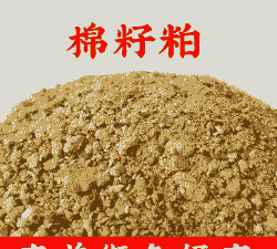 棉籽粕是什么饲料