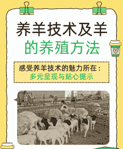 养羊的用什么技术