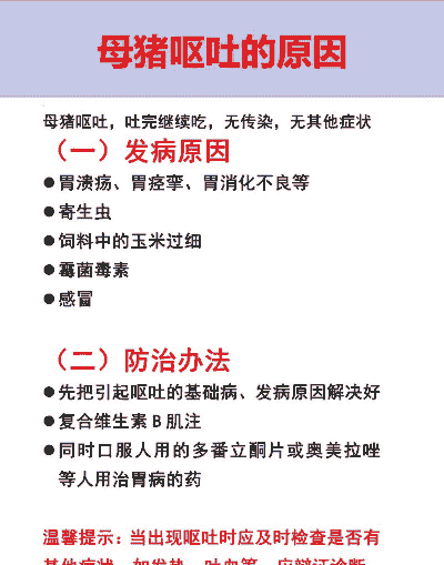 母猪是吐什么原因