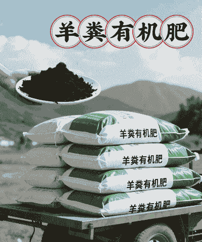 羊饲料里加什么可消炎