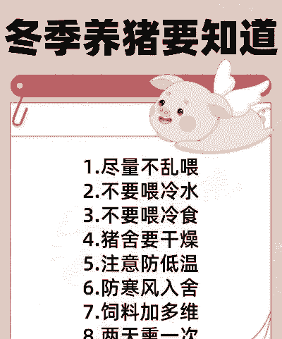 给猪降温有什么好处