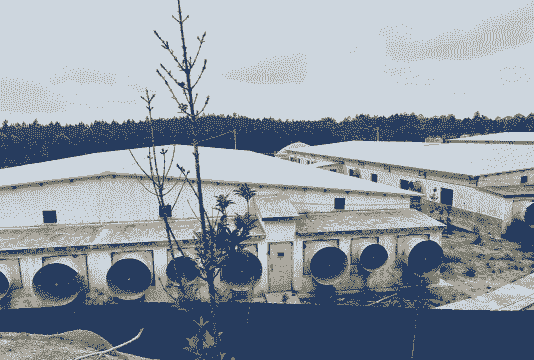 汨罗猪场为什么要撤销