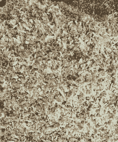 肉鸡棚的垫料是什么