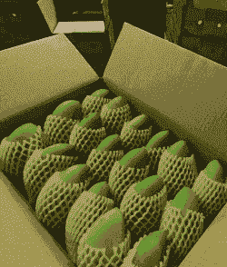 大台农有些什么产品