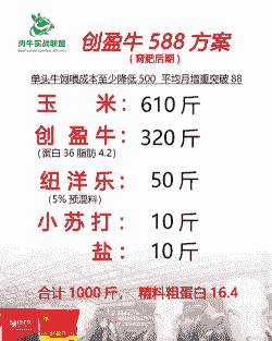 牛喂什么催肥最快最好