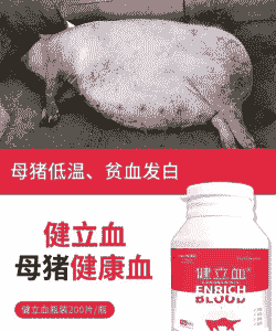 猪身发红用什么药