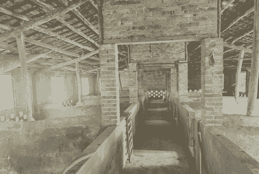 建猪舍什么材料最便宜