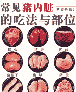 母猪吃什么会有营养