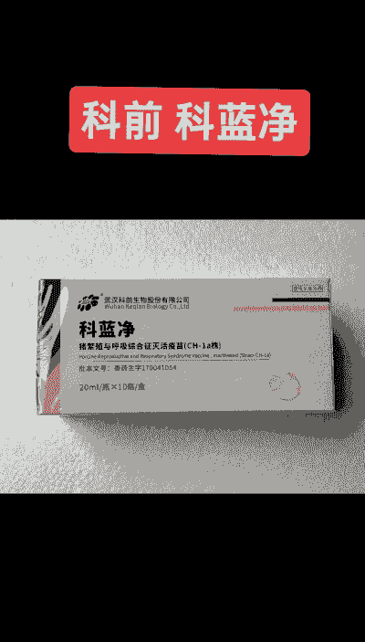 猪细小用什么药净化