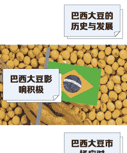 为什么巴西大豆产量高