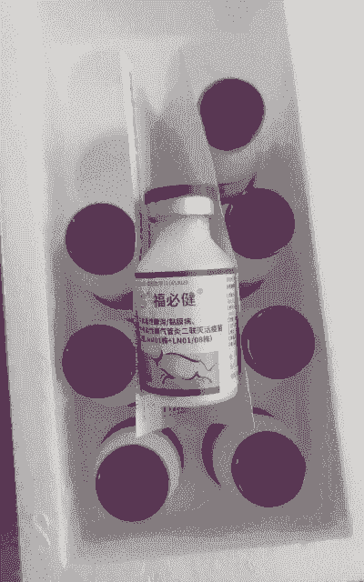 兽药牛拉稀用什么药